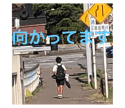 607303733