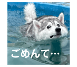 607319134