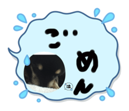 607319975