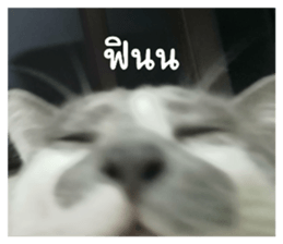 607328226