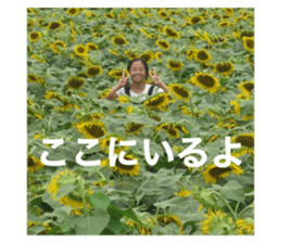 607331179