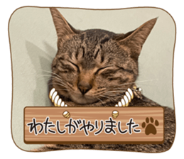 607334090