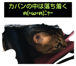 607335104