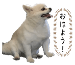 607340333