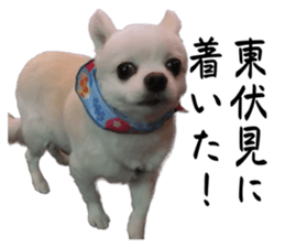 607340342