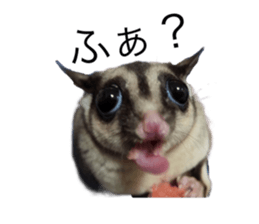 607343040