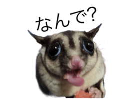 607343044