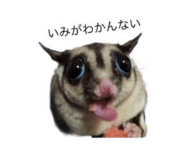 607343046