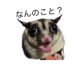 607343047