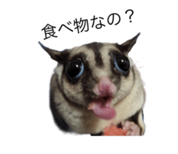 607343051