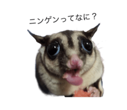 607343057