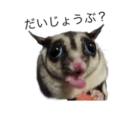 607343059