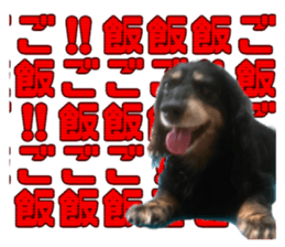 607343493