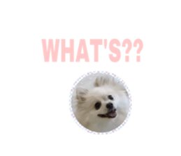 60734967