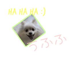 60734976