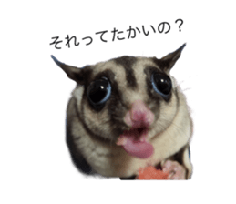 607383138