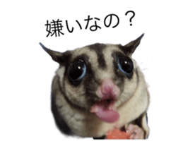 607383141
