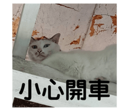 607418175