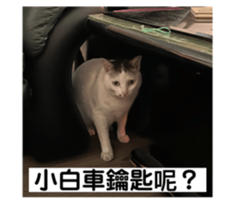 607418178