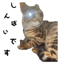 607425251