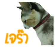 607437490