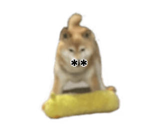 607438654