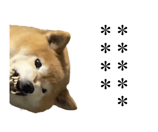 607438658