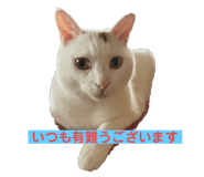 607463348
