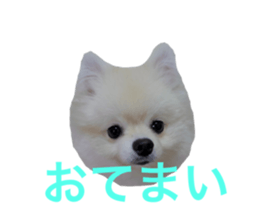 607463840