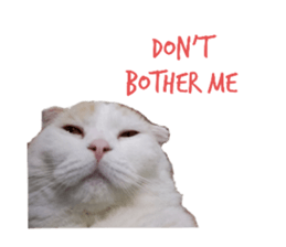 607491072