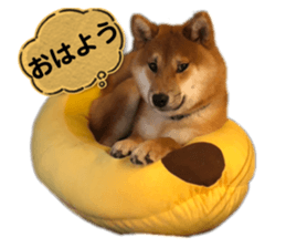 607553739