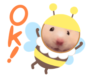 607554757