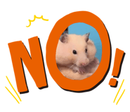 607554761