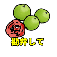 607574831