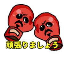 607574840