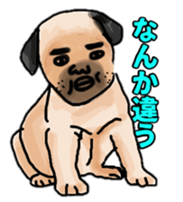 607574852