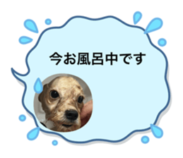607581287