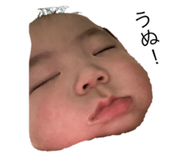 607586348