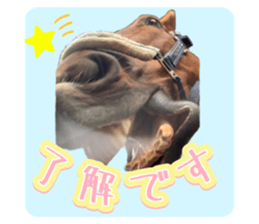 607588835