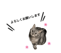 607628259