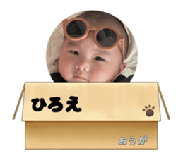 607666905