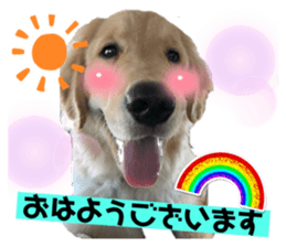 607765377