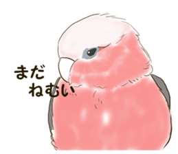 6077820