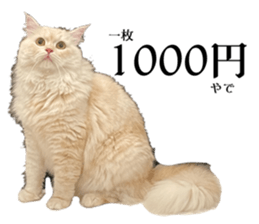 607791192