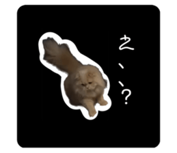 607813377