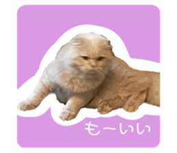 607813379