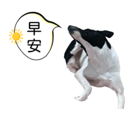 607881406