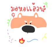 607892423