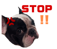 607908376