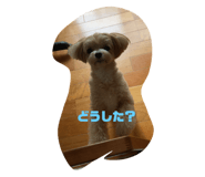607934152